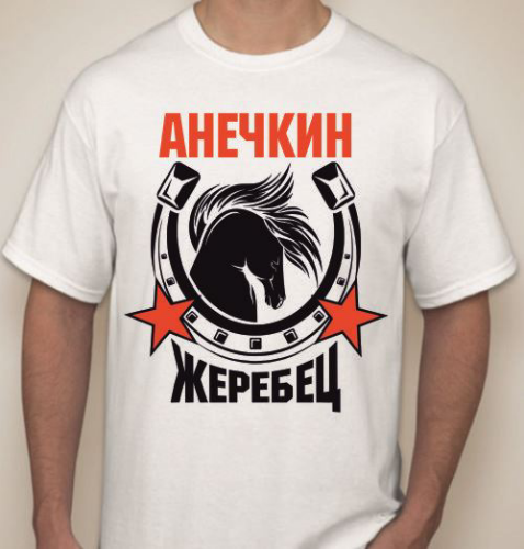 Изображение Футболка мужская Анечкин жеребец, с именем на заказ