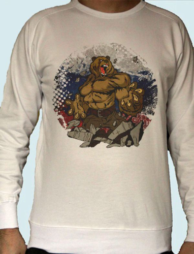 Изображение Толстовка мужская Медведь флаг