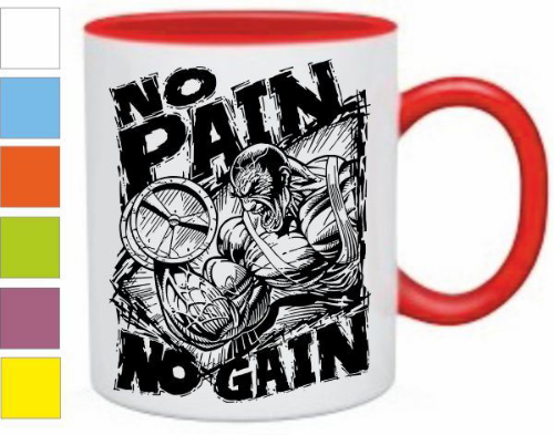 Изображение Кружка No pain no gain