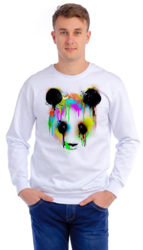 Изображение Толстовка (свитшот) мужская Панда в краске