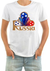 Футболка мужская Russia мячи