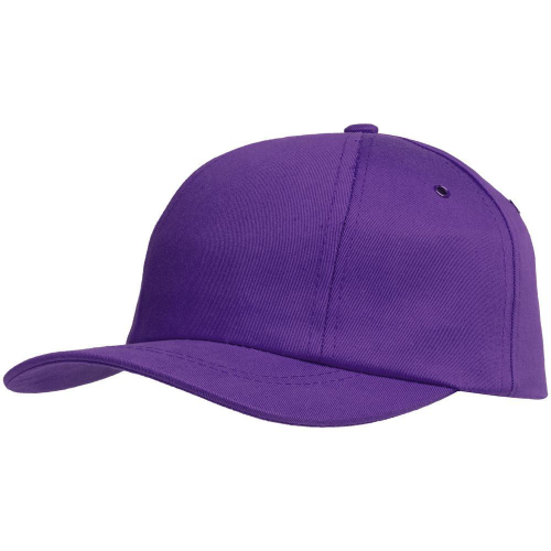 Изображение Бейсболка Bizbolka Capture, фиолетовая