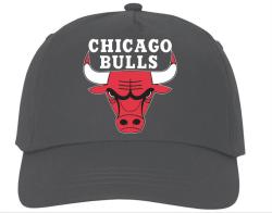 Бейсболка Chicago bulls